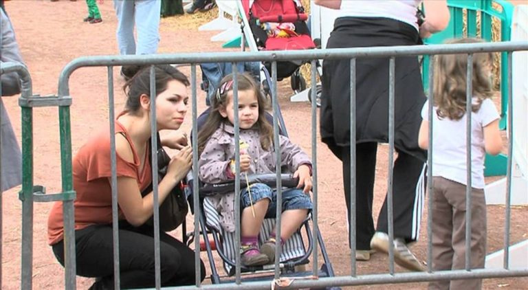 Fête médiévale : joutes et faucons