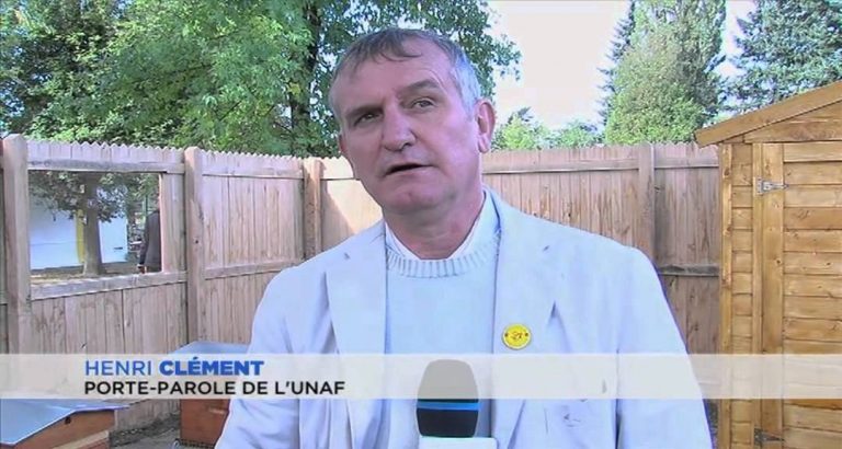 L’Actu – Un rucher à La Verrière