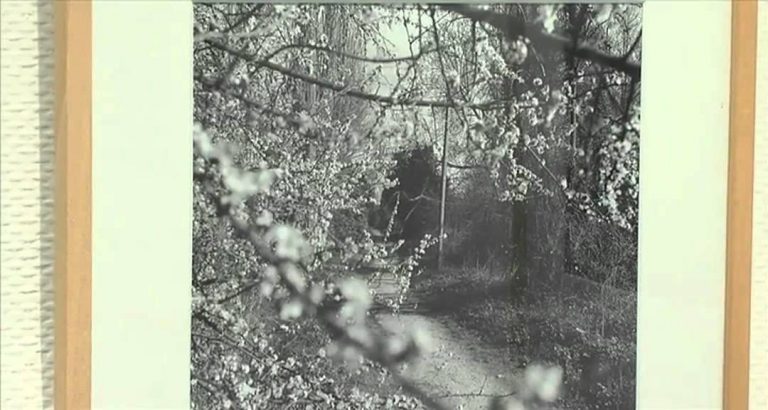 L’Actu – Les clichés de Patrice Leterrier