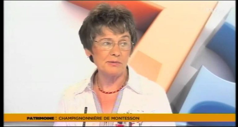 Le 7/8 – La champignonnière de Montesson