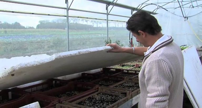 L’Actu – Jardins de Cocagne, une entreprise qui pousse…