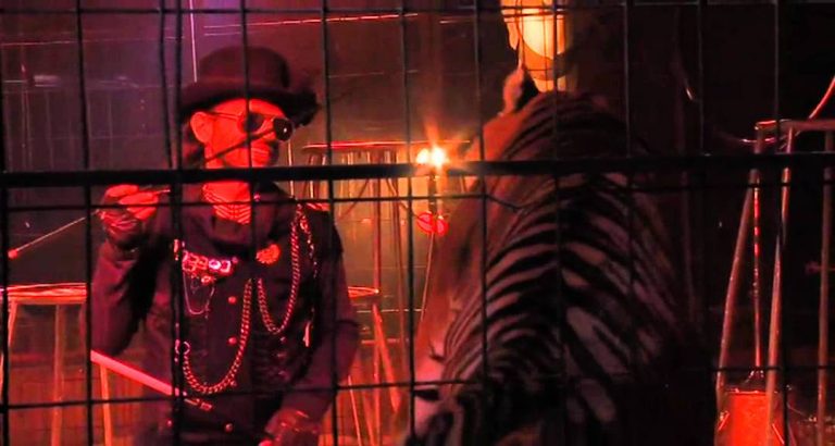 L’Actu – Les arts du cirque