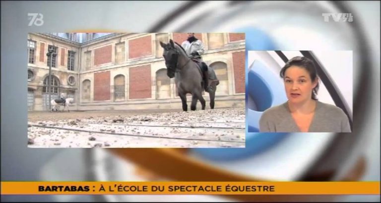 Le 7/8 – Visite guidée à l’académie du spectacle équestre
