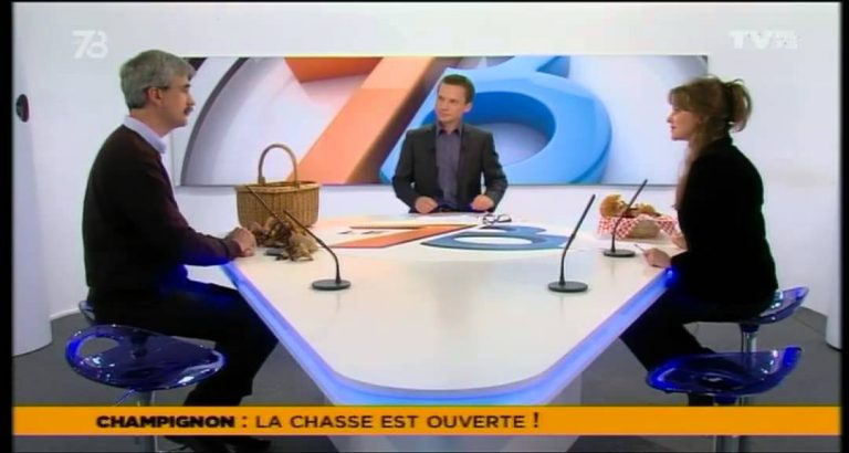 Le 7/8 – La saison de la cueillette des champignons
