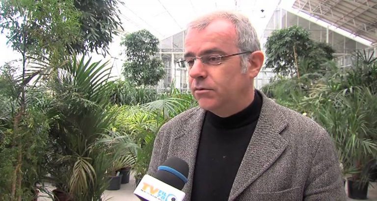 L’Actu – Des sapins recyclables