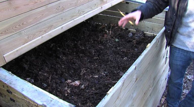 L’Actu – Le premier resto’U écolo