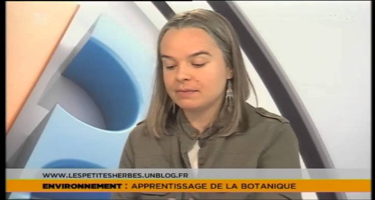 Le 7/8 – Découverte de la botanique