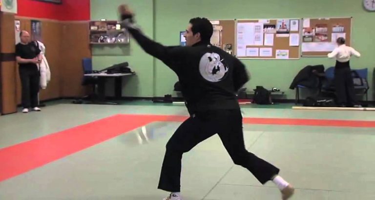 L’Actu – Le Guyancourtois, Samy Benferlou, vice-champion de France de kung-fu