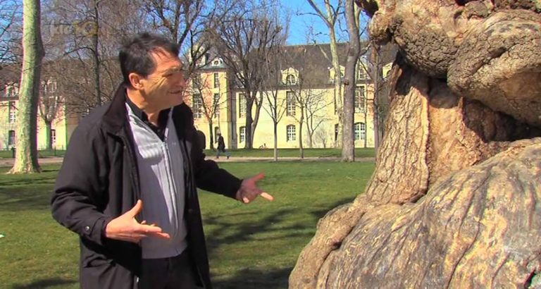 KioSQ – Pépito Matéo présente 7