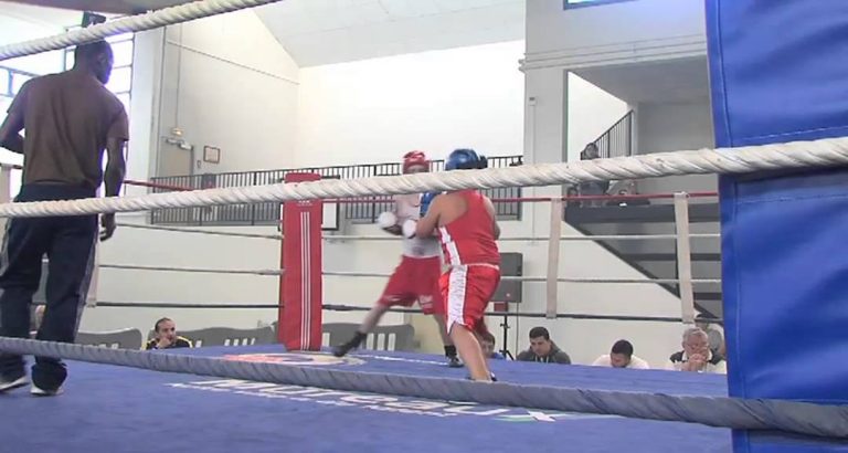 L’Actu – Championnat régional de boxe à La Verrière