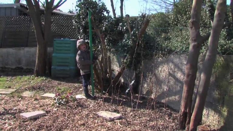 L’Actu – les ‘Incroyables comestibles’ arrivent à Elancourt