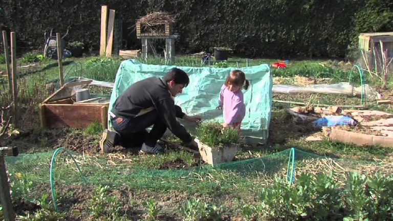 L’Actu – Les jardins familiaux, un passe-temps tendance