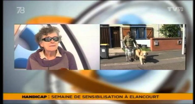 Le 7/8 – Le handicap en question à Elancourt