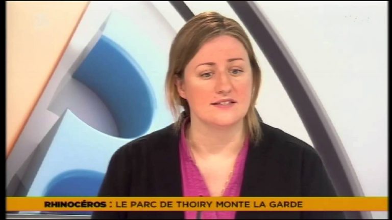 Le 7/8 – Le parc de Thoiry veille sur les rhinoceros