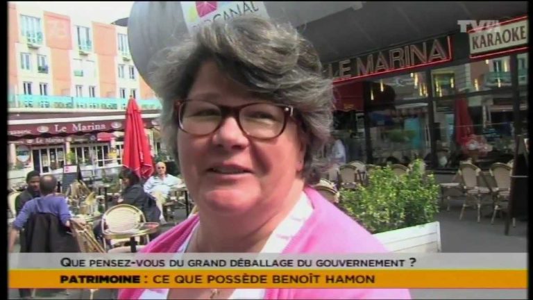 Le 7/8 – Ce que possède le ministre Benoit Hamon