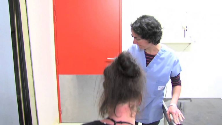 L’Actu – La SPA organise des journées portes-ouvertes