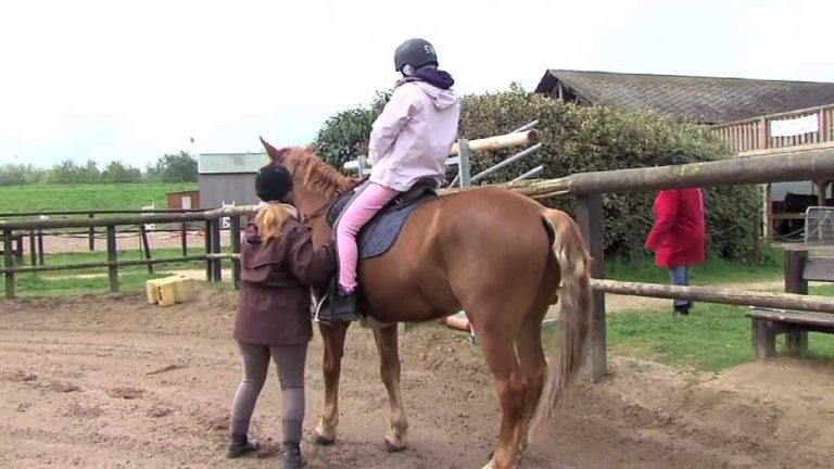 L’Actu – Vert les Yvelines remet la randonnée au goût du jour
