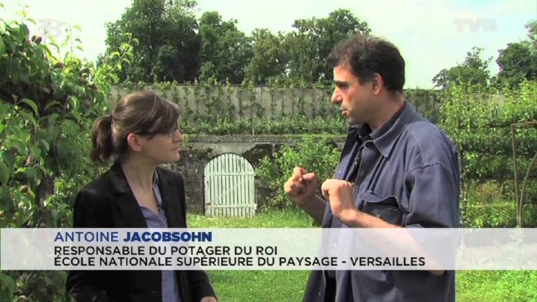 Le 7/8 – Un été dédié à l’environnement