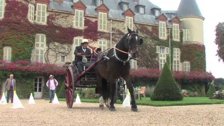 Concours international d’attelage de tradition