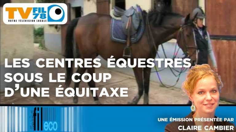 Fil Eco – Emission du jeudi 7 novembre 2013