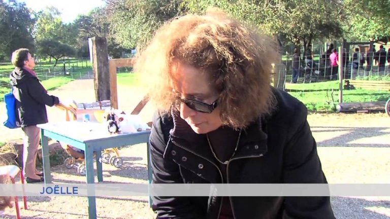 L’art de la confection d’une citrouille d’Halloween