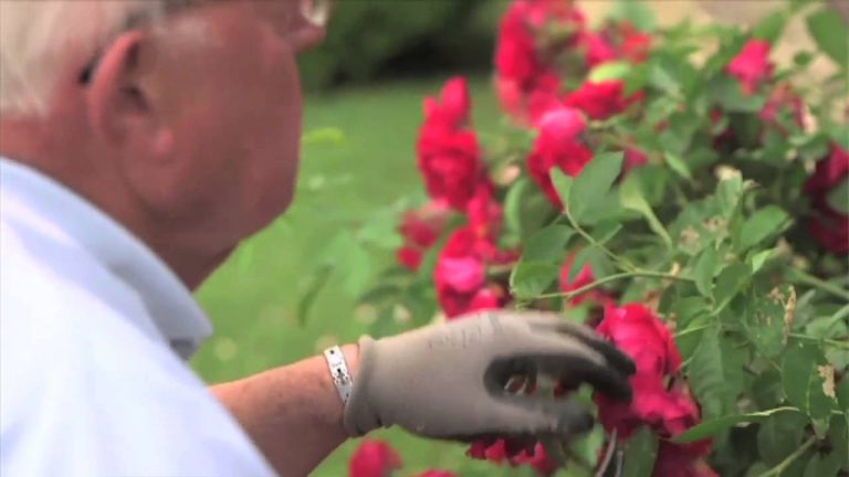 Un projet de plan ‘dépendance’ pour 2015 dévoilé