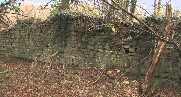 Une association veut sauver une abbaye du 12e siècle à Poigny-la-Forêt