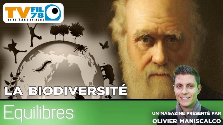 Equilibres – La biodiversité