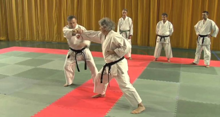 Le Karaté-santé, une discipline pour les séniors