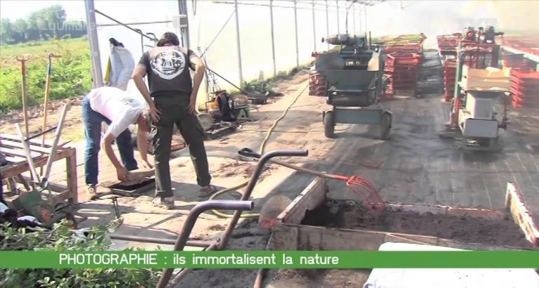 Equilibres – Recyclage, rondes des Butineuses et projet écologique