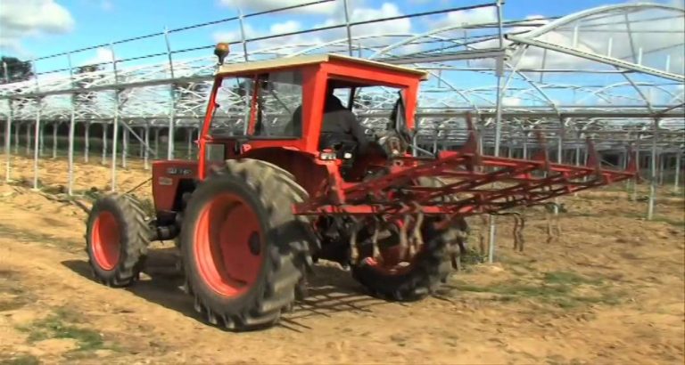 Le dossier de l’éco : les aides européennes pour les petites entreprises