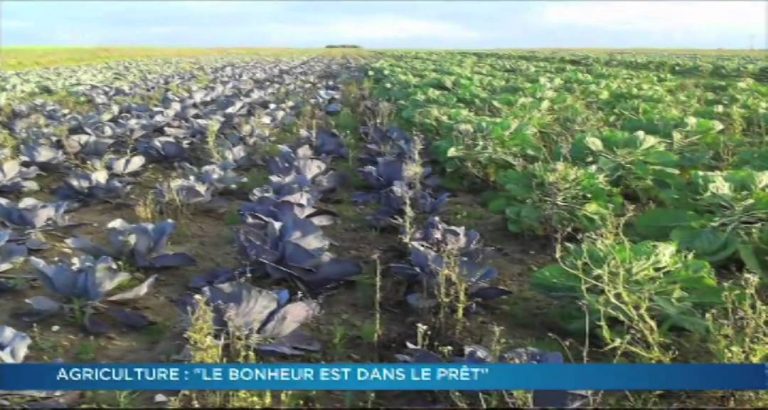 Fil Eco – Emission du jeudi 19 juin 2014