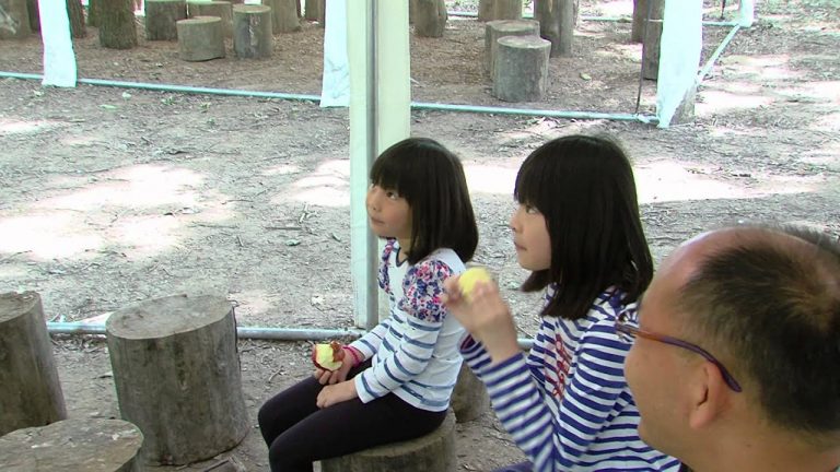 Des contes en forêt de Rambouillet