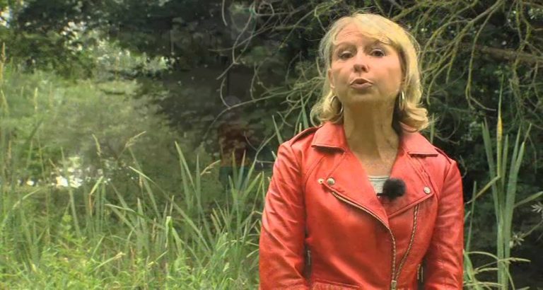 La Chronique de l’été de Sylvie Lahuna : En équilibre dans les airs