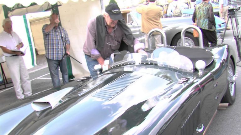 Des modèles de Mercédès quasi-uniques exposés à Versailles