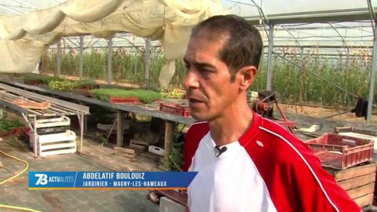 Les Jardins de Cocagne recherchent des fonds