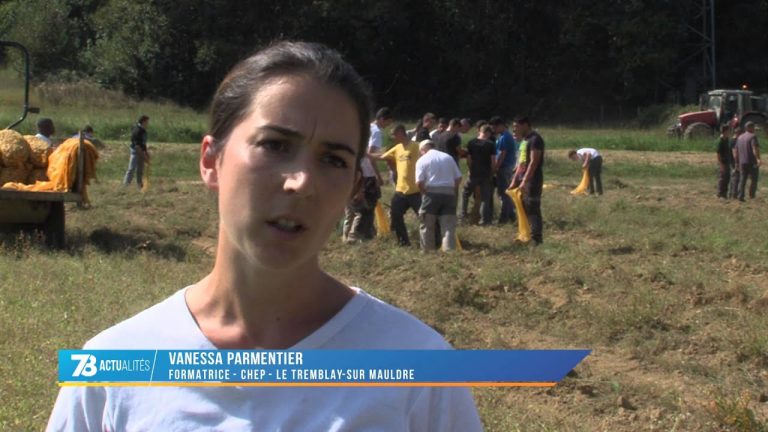 Ils récoltent des pommes de terre au profit des Restos du Coeur