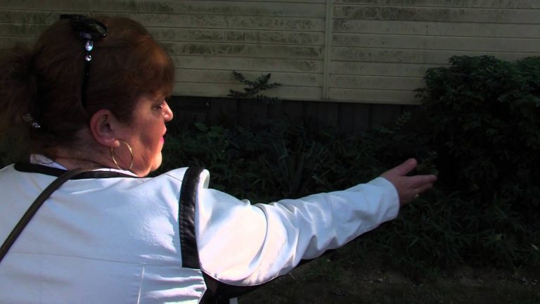 Des locataires du square Gérard-Philipe à Trappes excédés