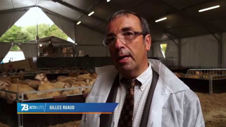 La fête de l’Aïd célébrée dans le département