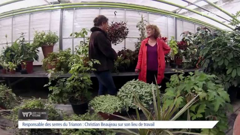 VYP – Noëlle Breham ‘ Sous la serre ‘