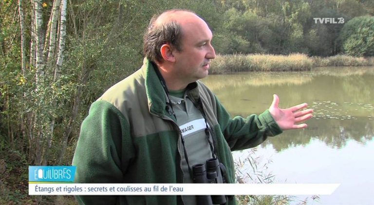 Equilibres – Etangs : secrets et coulisses au fil de l’eau