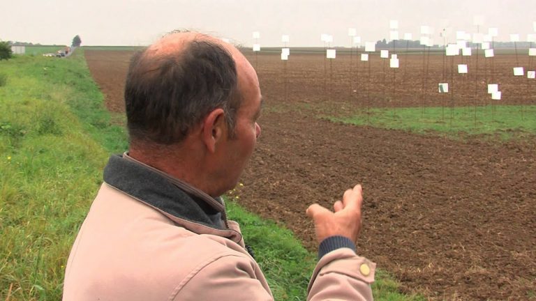 Des installations artistiques en plein champ