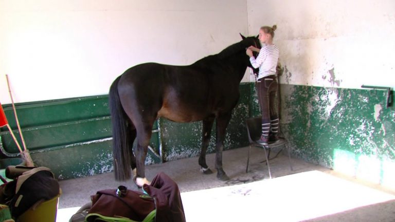 La mobilisation des élus pour sauver le Haras des Bréviaires