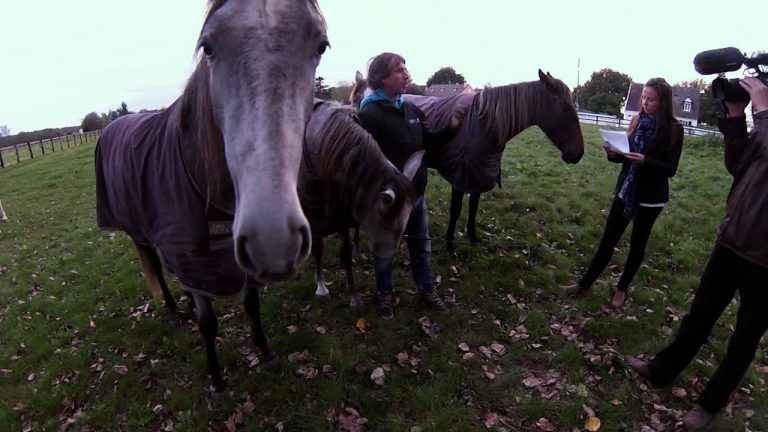 Jean-François Pignon au Haras des Bréviaires