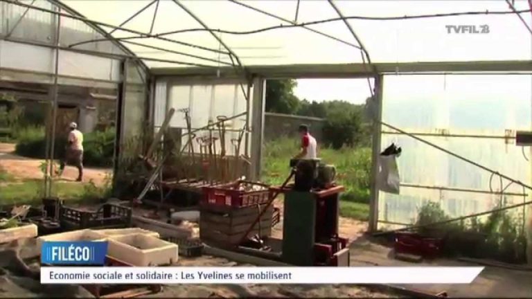 Fil Eco – Emission du jeudi 6 novembre 2014