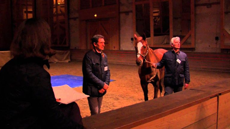 Social : apprendre à mieux se connaître par l&rsquo;équicoaching