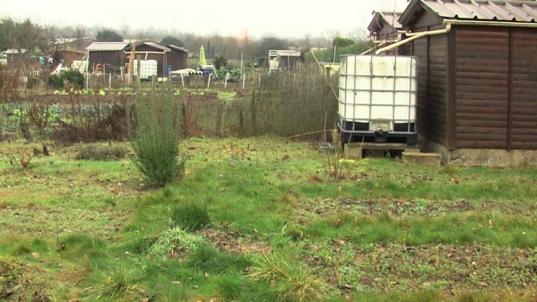 Fait divers : les jardins familiaux de Guyancourt excédés par les cambriolages