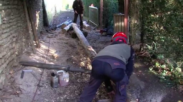 Parc de Thoiry : une nouvelle peau pour le vivarium