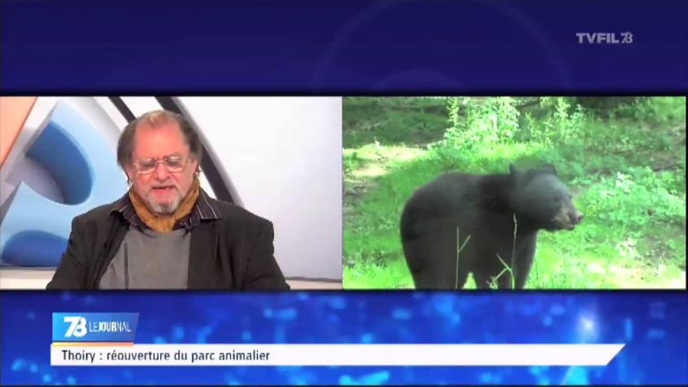 7/8 Le journal – Edition du mardi 17 février 2015