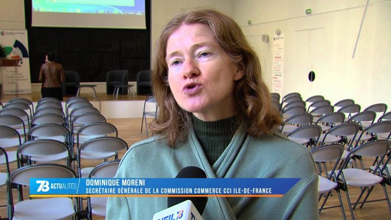 Economie : quel avenir pour le commerce yvelinois ?